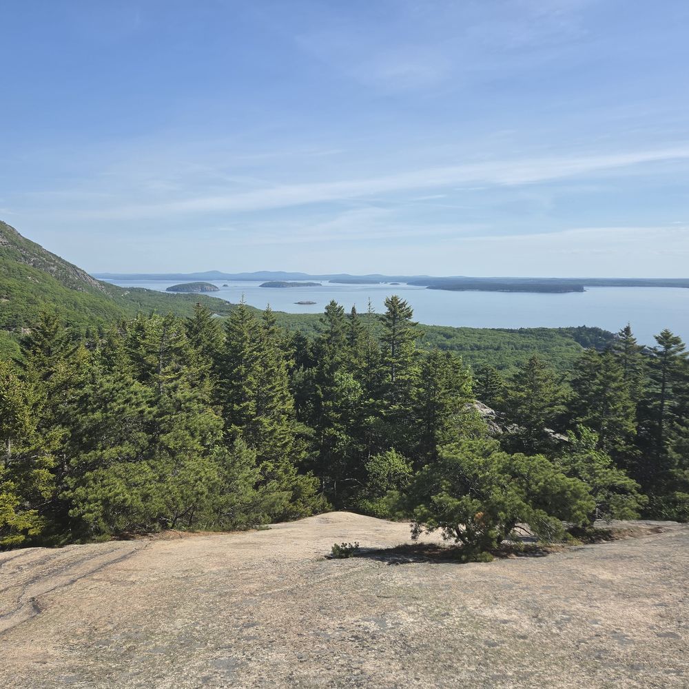 Conifer forest and coastal islands seen from a granite summit in Acadia